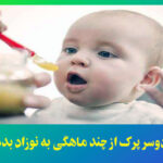 جو دوسر پرک از چند ماهگی به نوزاد بدهیم