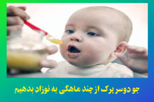 جو دوسر پرک از چند ماهگی به نوزاد بدهیم