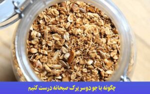 چگونه با جو دوسر پرک صبحانه درست کنیم
