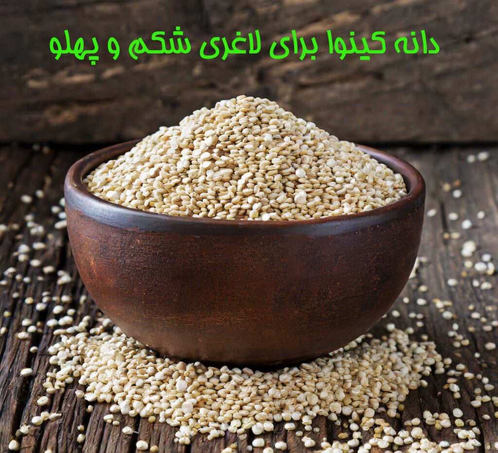 دانه کینوا برای لاغری شکم و پهلو