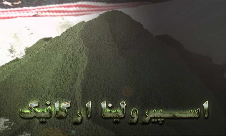 اسپیرولینا برای بهبود عملکرد مغز