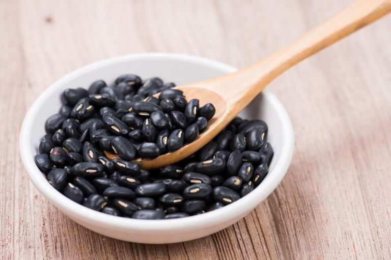 لوبیا سیاه از کجا بخرم؟