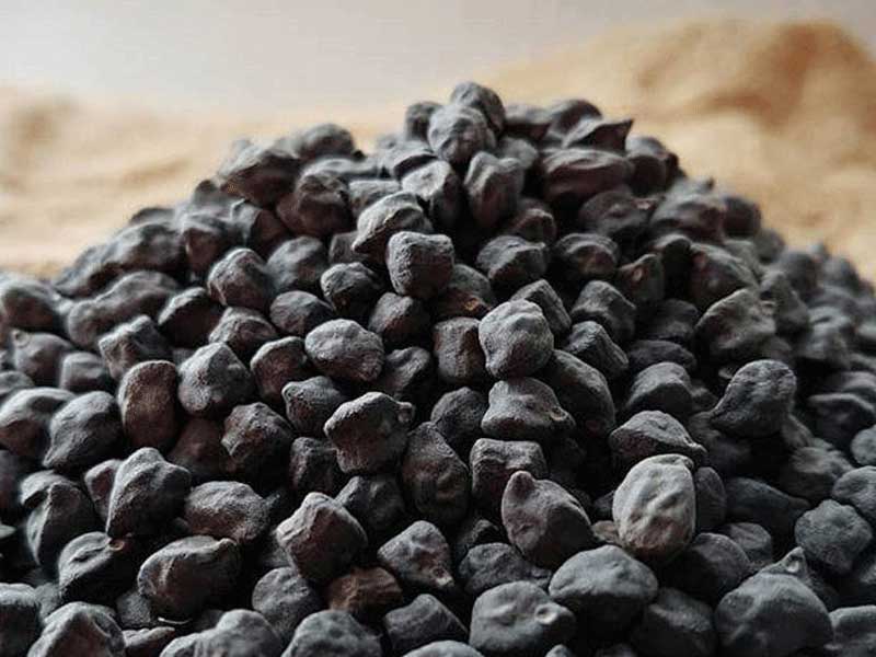 تفاوت نخود سیاه و سفید
