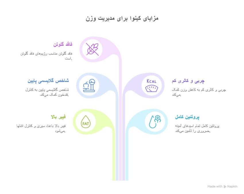 چرا کینوا از سایر غلات برای لاغری بهتر است؟