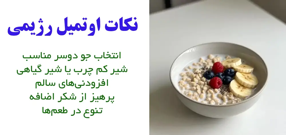 نکات مهم برای تهیه اوتمیل رژیمی