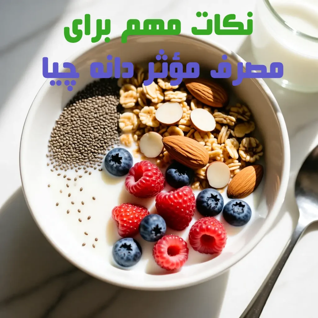 نکات مهم برای مصرف مؤثر دانه چیا