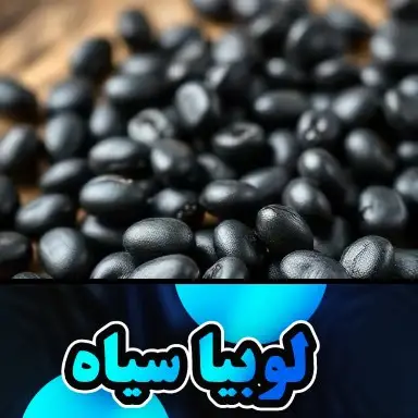 لوبیا سیاه