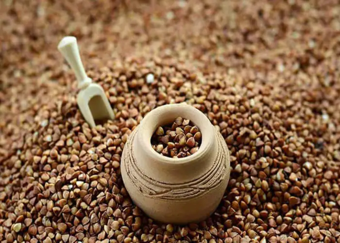 دانه چیا