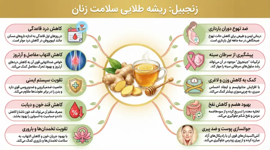 اینفوگرافی خواص اصلی زنجبیل برای سلامت زنان شامل رحم، پوست و لاغری.