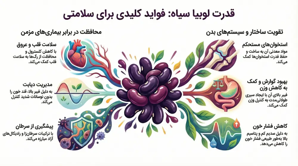 خواص لوبیا سیاه