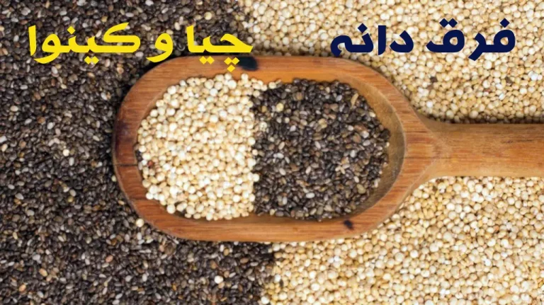 فرق دانه چیا و کینوا